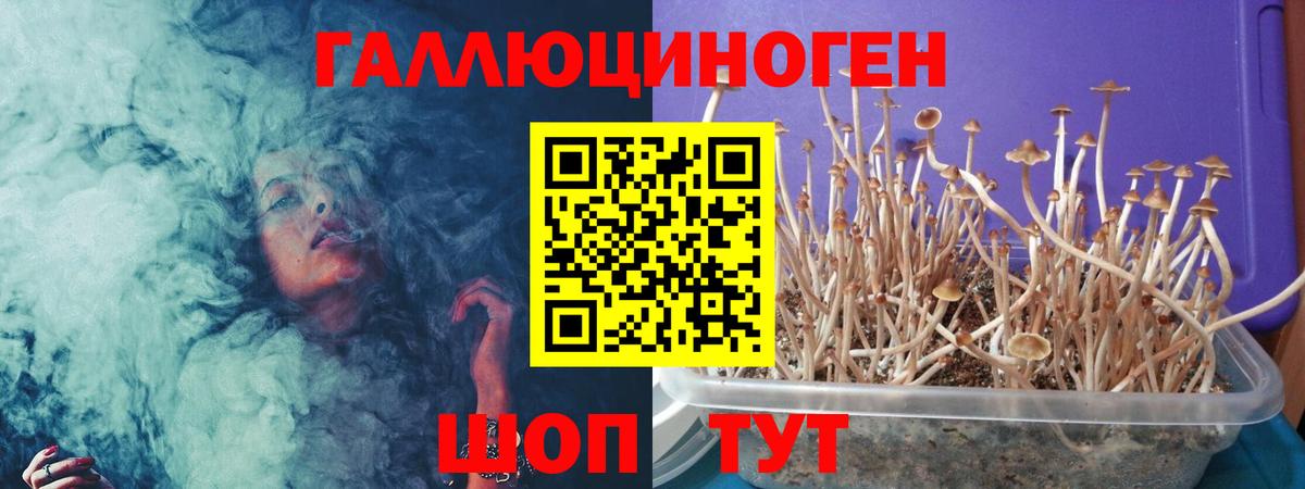 Псилоцибиновые грибы MAGIC MUSHROOMS Нарткала
