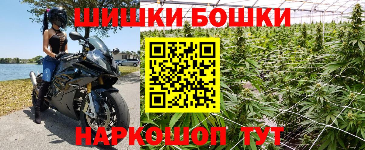 Канабис ГИДРОПОН  Вход с VPN  Нарткала  Каннабис Ganja 